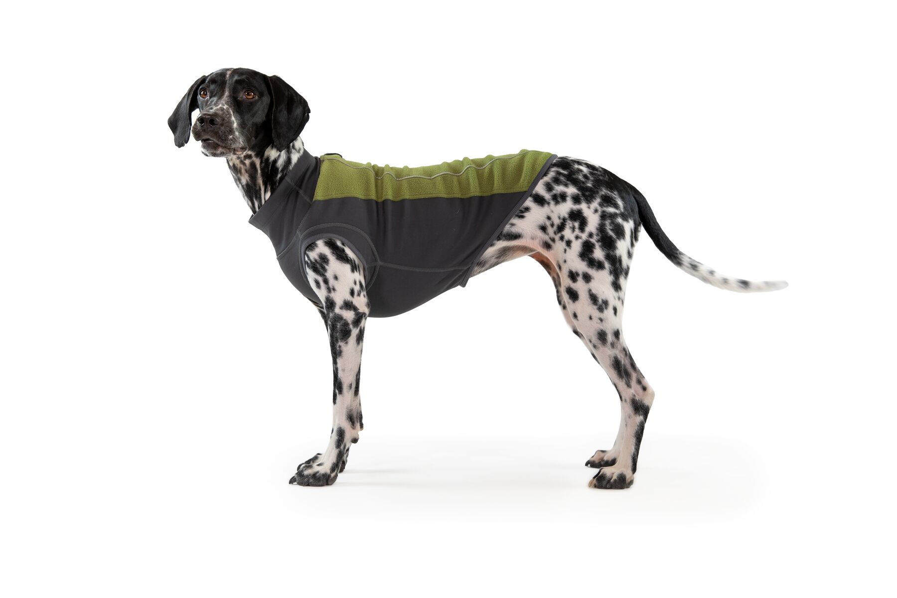 RUFFWEAR Climate Changer Jacke Für Hunde - Wärmer Fleecemantel